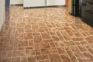 石塑地板全解析 性能特點(diǎn)與市場價格指南